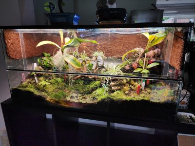 5-6 months later
